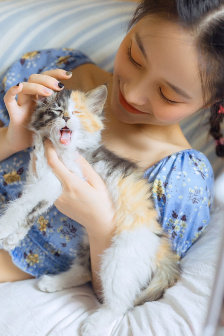 御宅屋OPPO